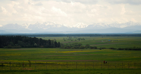 Fototapeta na wymiar góry widok łąki pola 