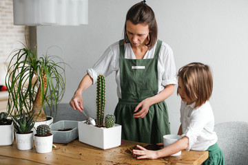 Caucasian mother and daughter transplant cactus Céreus, planting succulent in pot with dirt or soil. Catus transplant with large spines. Woman in green linen apron and child, concept home gardening