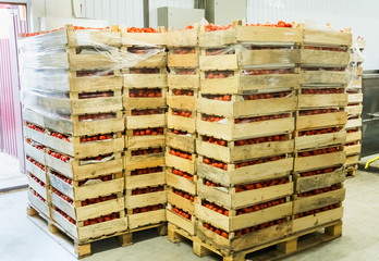 Many boxes with red in the recycling workshop