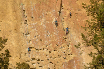 Rock climbers climb a large rock, filmed from the back.