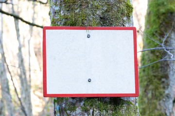 panneau blanc contours rouge  sur un arbre 