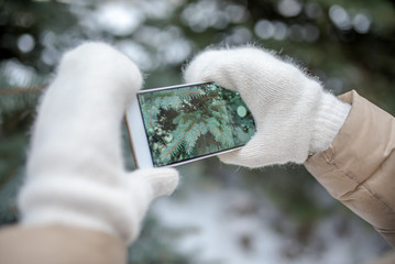 Girl in white mittens takes a photo of a green spruce on a smartphone