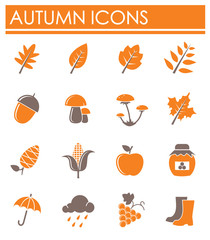 Autumn related icon set on background for graphic and web design. Simple illustration. Internet concept symbol for website button or mobile app