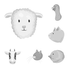 Vector design of countryside and homestead sign. Set of countryside and breeding stock vector illustration.