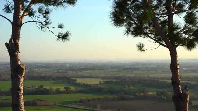 Horizonte entre arboles