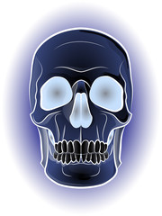 color illustration with skull image, print design for t-shirts
