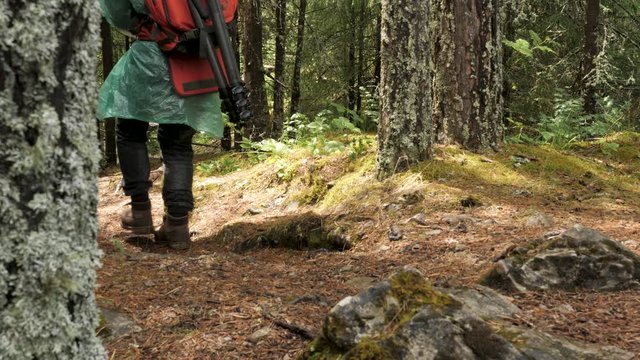 Hikers boots on forest trail, side view. Stock footage. Close up of male walking in trekking shoes on the background of leaves and trees, travel, sports, lifestyle concept.