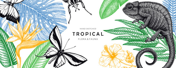 Tropical banner design. Vector frame with hand drawn tropical plants, exotic flowers, palm leaves, insects and chameleon. Vintage wildlife background. Summer template with tropical plants and animals. © sketched-graphics