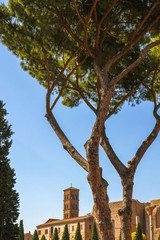View on the bell tower of the Basilica of Santa Maria