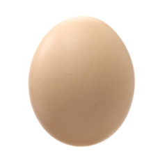 egg on a white background