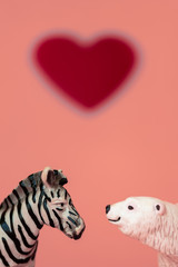 Love between the different and opposed: a bear, carnivorous from a cold habitat and a zebra, herbivorous from a hot habitat. .