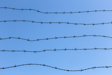 barbed wire on a background of blue clear sky