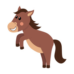 Cute and funny brown horse.