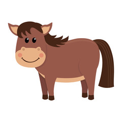 Cute and funny brown horse.