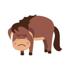 Sad and cute brown horse.