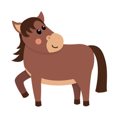 Cute and funny brown horse.