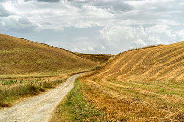 Fototapeta premium Rural landscape in Matera province at summer