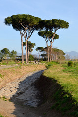 Strada Parco degli Acquedotti Roma