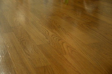 brown wood laminate clean floor polished in home