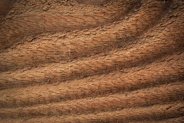 brown hard wood barn texture background