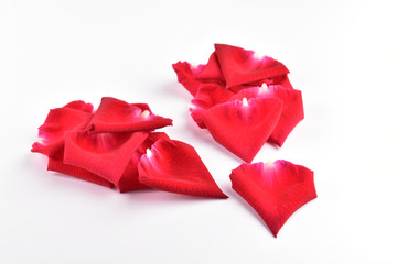 red broken heart of rose petal flower isolated on white background, abstract symbol heartbroken of love problem