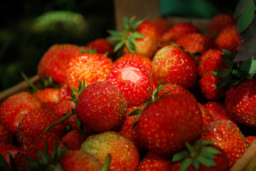 owoce truskawki strawberry 