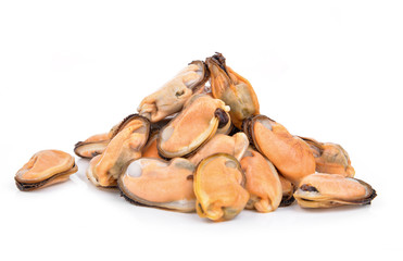 green mussel on white background