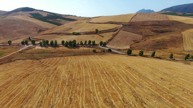 Wide fields of Monreale near the city of Palermo in Sicily. Drone flyover view.