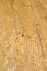 Rock climbers climb a large rock, filmed from the back.
