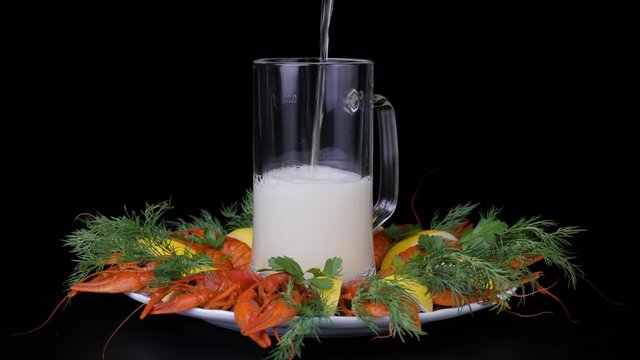 Beer is pouring and foaming in glass on black background. River boiled crayfish with lemon and green-stuff rotating on a white plate. 