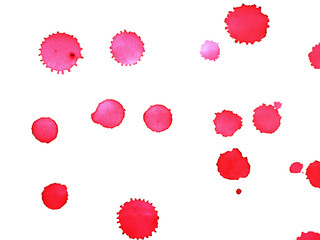 dot red color watercolor Paint splashes on white paper background abstract