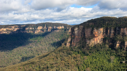 Fototapeta na wymiar Eucalyptus forests in the Blue mountains, Katomba, Leura, Sydney 