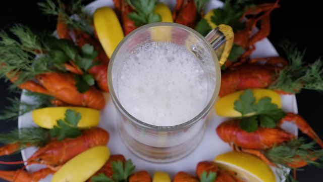Glass of beer with foam and a boiled crawfishes. River crayfish with lemon and green-stuff rotating on a white plate. Top view.