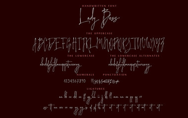Fototapeta na wymiar Handwritten script font vector alphabet Lady Boss set