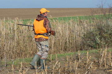 A man with a gun in his hands and an orange vest on a pheasant hunt in a wooded area in cloudy...
