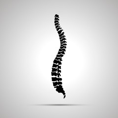 Detailed human spine, simple black icon on gray