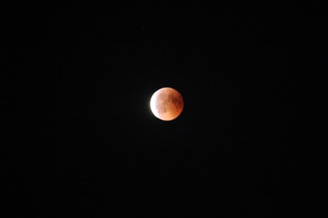 Bloodfullmoon