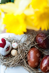 Wielkanoc jajka kurka easter 3 © Wiktor