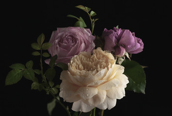 Beautiful bunch of colorful roses flowers
