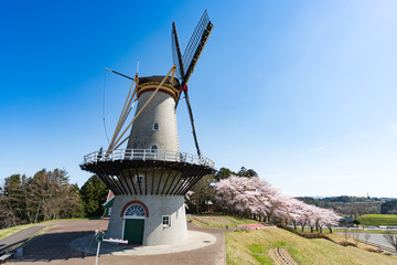 長沼フートピア公園オランダ風車と満開の桜並木