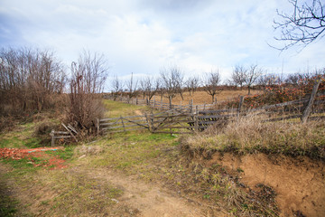 Rustic wooden fence