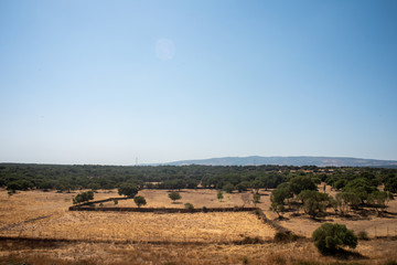 Sardinian landscape