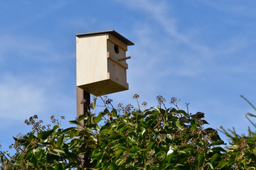 Starkasten im Garten
