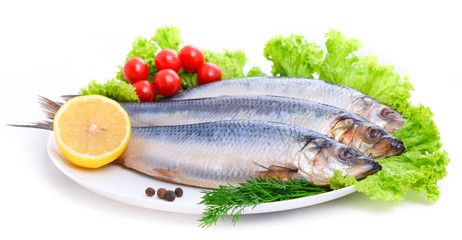 salted herring