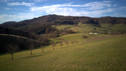 Baum Allee Berg unter blauem Himmel 