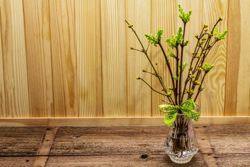 Zero waste Easter concept. Spring twigs with fresh green leaves. Glass vase, polka dot ribbon bow. Wooden boards background and backdrop