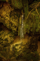 Nature wild background of little cascade with algae.