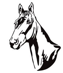 Vector decorative horse 12