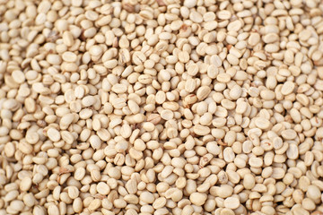 white coffee seeds background, organic aroma coffee beans