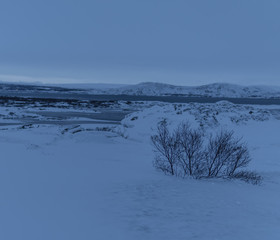 winter landscape